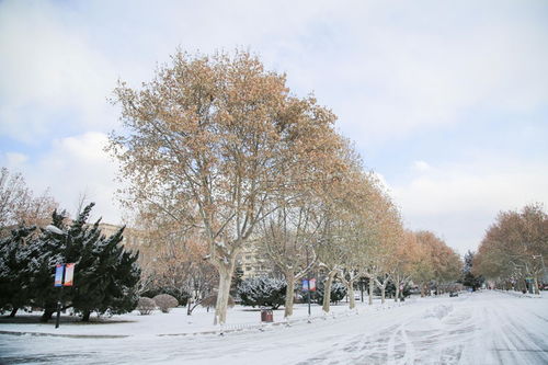 周也雪景图是丞磊拍的_横店大雪《春花厌》晒刘学义、吴谨言、毕雯珺雪景图，营销赢麻了