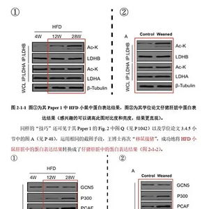 11人联合实名举报导师学术造假背后_11人联合实名举报学术造假背后：导师曾叫嚣“我背后有学校年薪50万的专业律师团队”