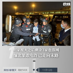 视频梳理打击缅北涉我电诈重大战果_4.4万名缅北涉我电诈嫌疑人移交我方，公安机关打击犯罪重要节点回顾