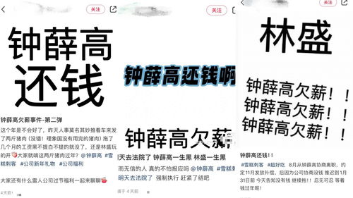 钟薛高被执行81万元_钟薛高售价低至2.5元 价格急速“缩水”背后是否涉嫌欺诈？