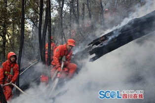 四川雅江山火1号火场明火扑灭_四川雅江山火1号火场明火被扑灭