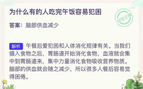 为啥午饭后容易犯困_午饭后容易犯困？或是因为吃多、吃肉、吃咸