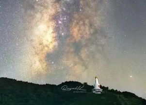 延时看初春星空与梨花浪漫同框_春天里美丽盛开的梨花，绿叶映衬的雪白花朵很娇艳，花开芬芳