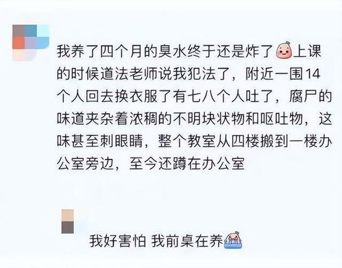 孩子为啥养臭水_孩子们竟然流行“养臭水”？很危险，还可能构成犯罪！