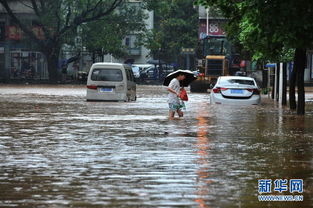 #南方暴雨#南方多地出现暴雨 国家防总针对皖鄂渝启动防汛四级应急响应