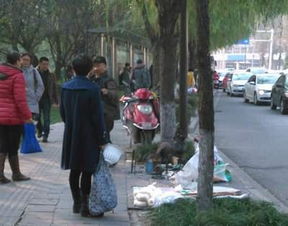 成都街头大爷说AI上未来_大爷解释年轻人找不到工作原因，劝人类躺平，网友回怼其胡说八道