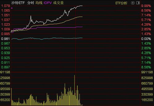 沙特ETF触及涨停_沙特ETF午后触及涨停，N沙特ETF大涨逾9%