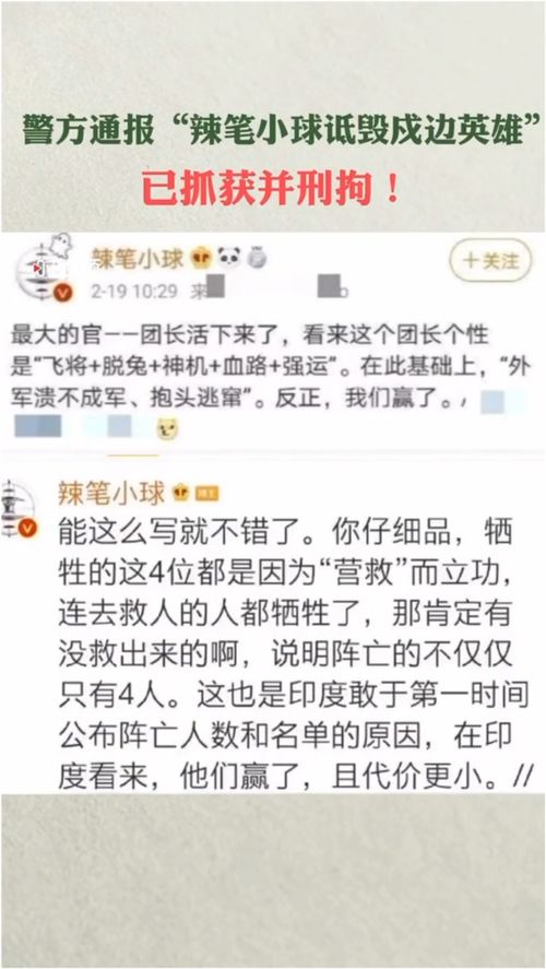 警方通报一网民诋毁奥运会运动员_大兴公安通报：女子在女乒决赛后诋毁运动员教练员，已被依法刑拘