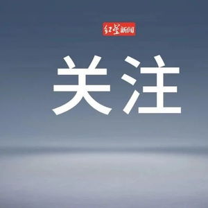 詹某某涉嫌诈骗案受害者等候庭审结果_詹某某涉嫌诈骗案今日在北京二中院开庭 有网友晒立案决定书时称其系知名女星“爱人”