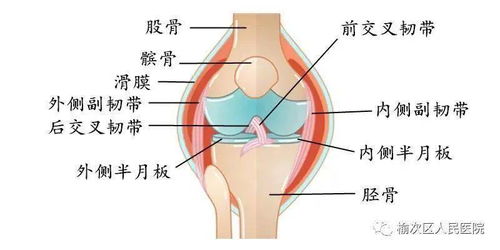 疼痛科是看什么病的_什么是疼痛科？疼痛科治疗哪些疾病？