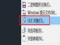 在CAD中如何通过OLE对象插入图片？