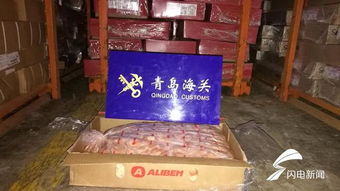 超650吨走私冻品装满29个集装箱_走私大案曝光：29个集装箱暗藏玄机 还原海警现实版破冰行动