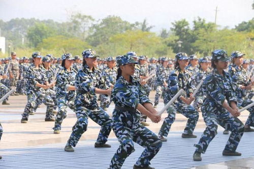 广西高校野外军训有多硬核_广西军训能有多硬核？军训14天结束后，个个都是特种兵