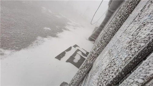 门头沟入秋的第一场雪_北京门头沟迎来入秋后第一场雪 初雪兆祥瑞