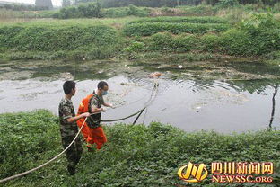 成都一河道现浮尸_成都简阳河道内发现浮尸 警方通报：系跳河轻生溺亡，排除刑事案件可能