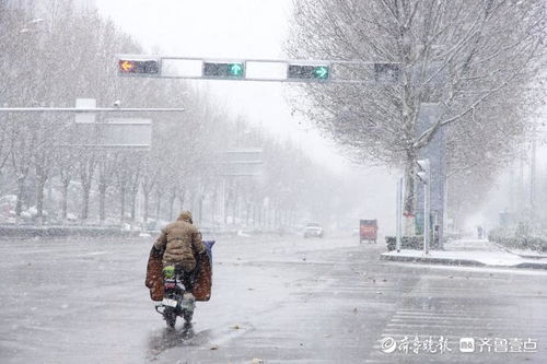 郑州迎入冬来第一场雪_下雪了！郑州迎入冬来第一场雪