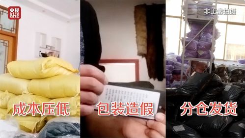 江西伪劣羽绒服制售企业被查_江西九江对伪劣羽绒服制售企业进行扣押、立案查处