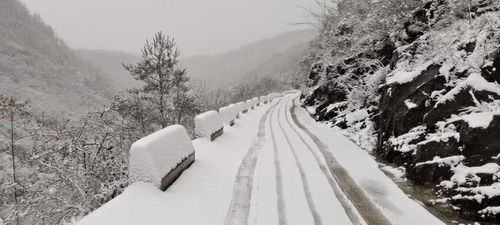 今冬济南第一场雪来了_济南今冬第一场雪，开下！山东这里积雪已达暴雪等级！最新雨雪寒潮预报