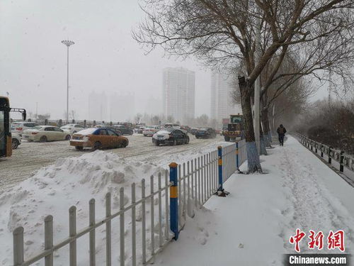 内蒙古黑龙江局地大暴雪_黑龙江西北部等地局地有大暴雪，中央气象台发布暴雪、寒潮、大风预警