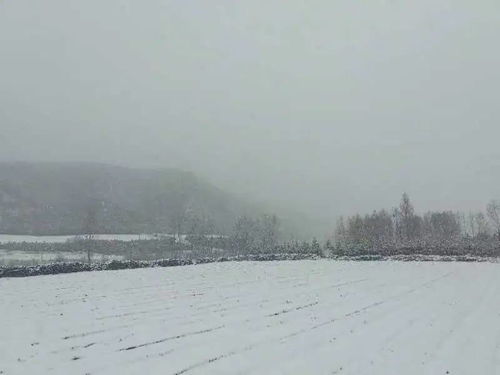 #北方多地降雪#图集｜北方降雪氛围感拉满，多地初雪素裹银装