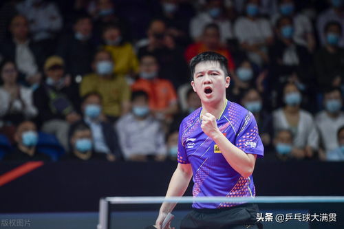 樊振东3比0胜周启豪_3-0！樊振东战胜周启豪！乒超联赛：樊振东今夜两连胜，状态出色