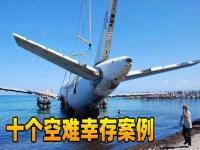 专家称韩国空难或因机组操作不当_航空专家：韩国空难或因机组在鸟击后忽略未放下起落架所致